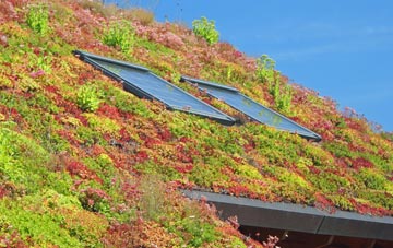 Kingussie living roof systems